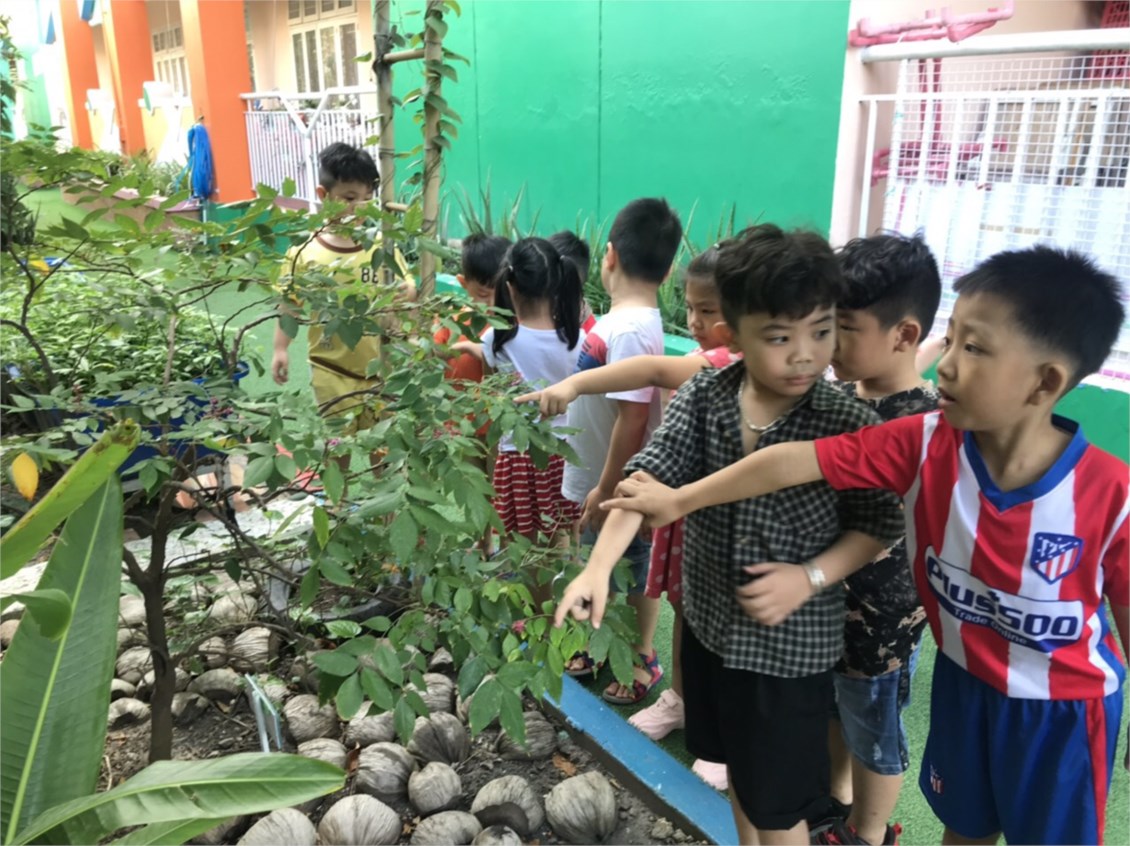 Ảnh đại diện